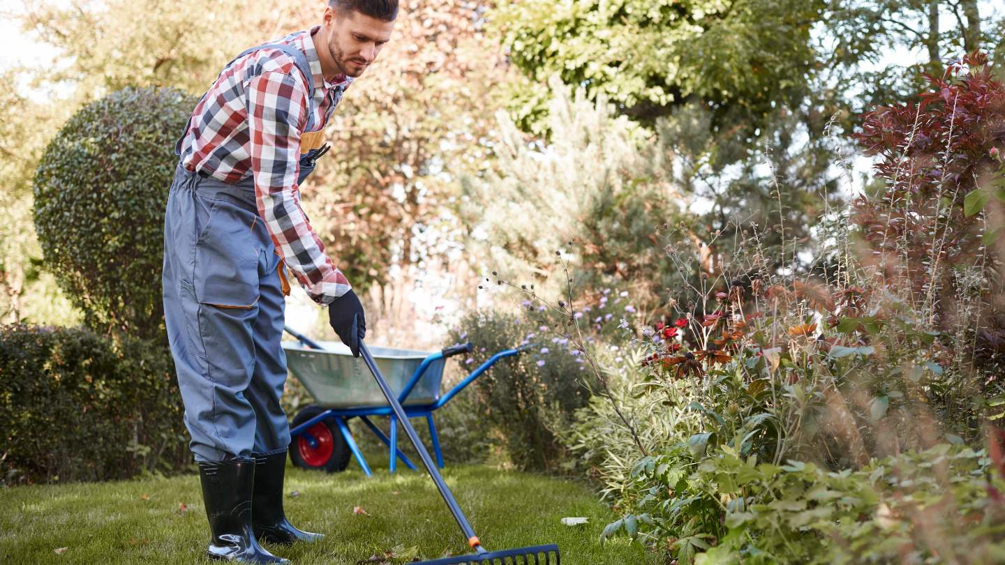 garden etiquette 1