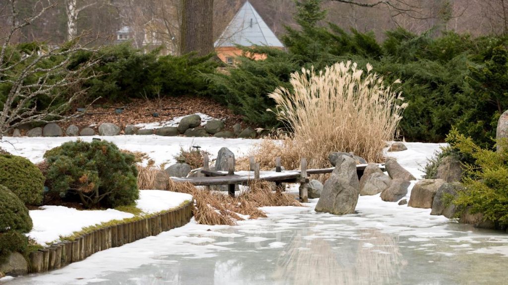 how do you prepare your landscape for the winter