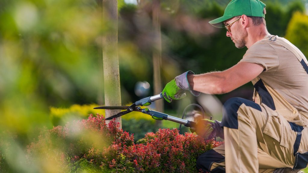 how gardens are changed by professional gardening services