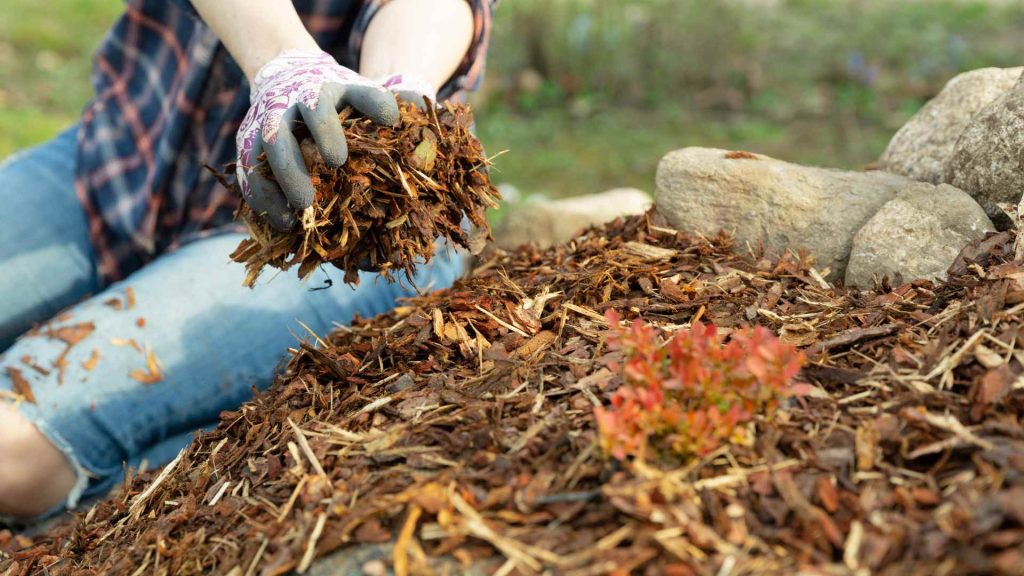 What Are The Benefits Of Mulching In Your Garden