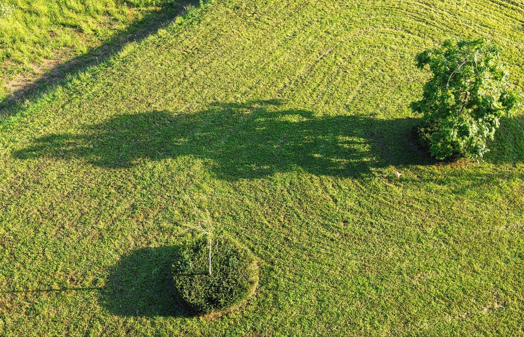 The Best Lawn Mowing Patterns