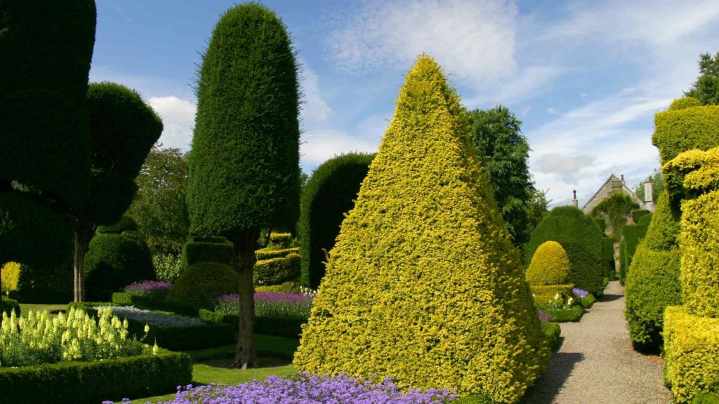 topiary melbourne