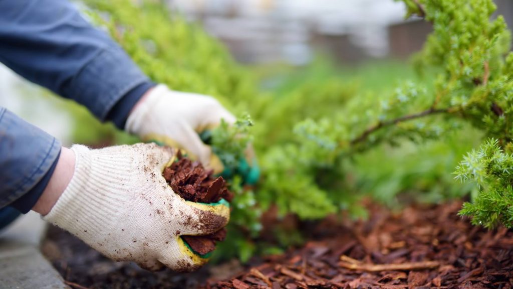 what makes mulch essential for successful landscaping