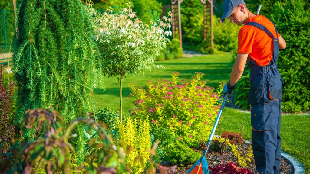 your guide to professional gardening services