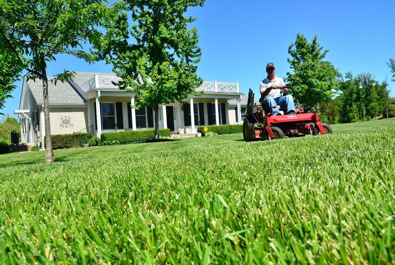 grass mowing