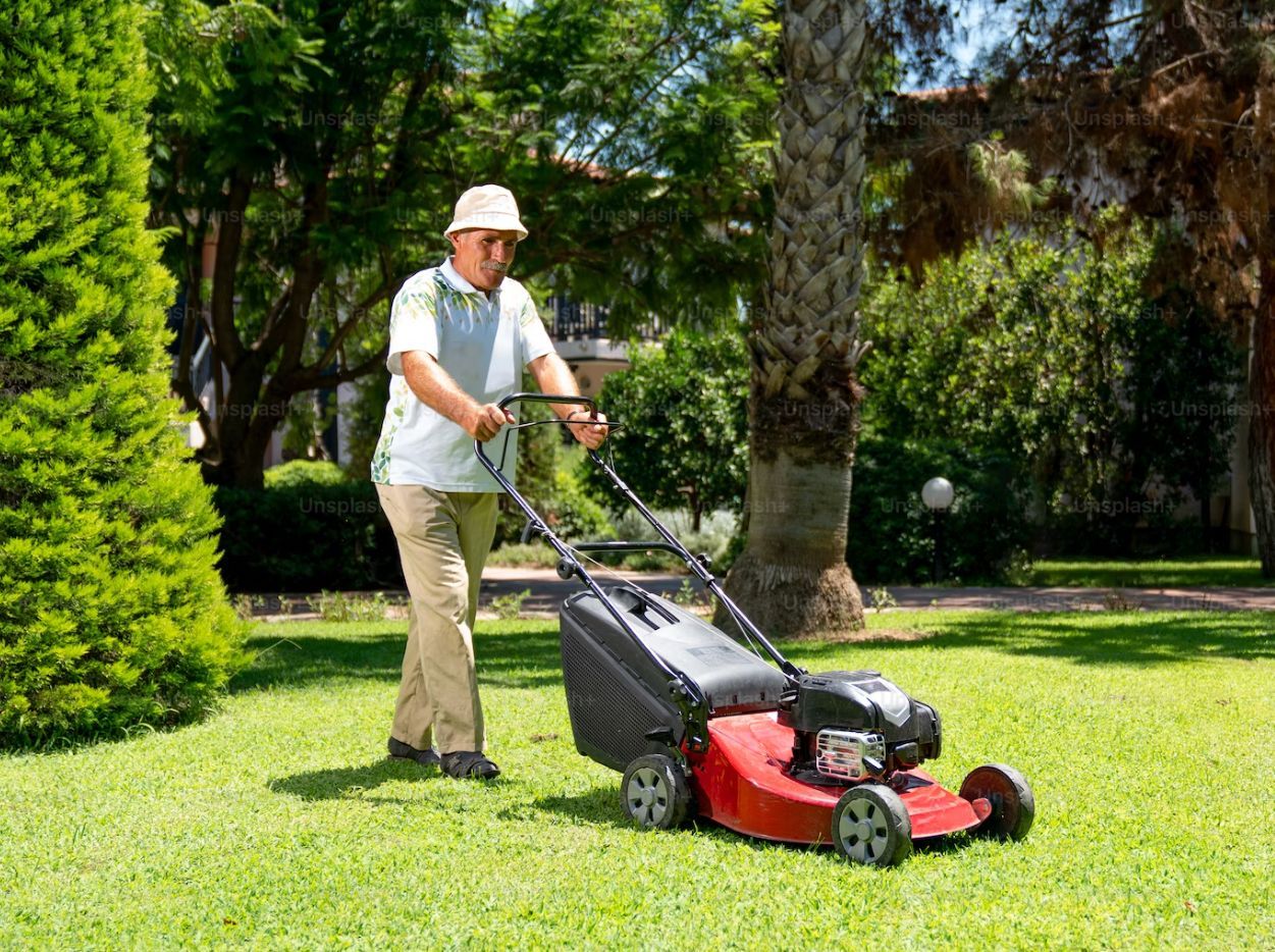 lawn mower in green garden