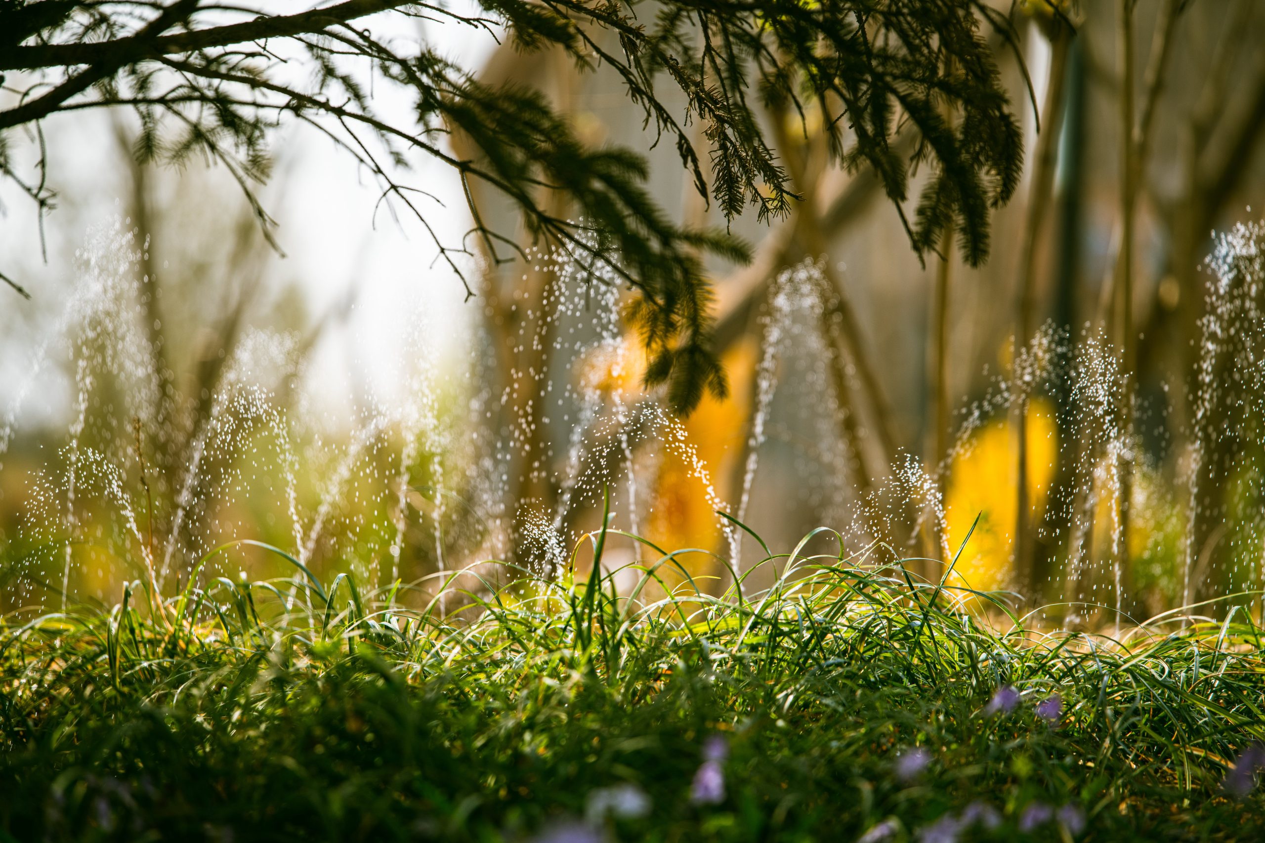 sprinkler system